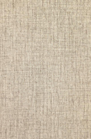 160*230 cm Umweltfreundlicher Polypropylen-Schlingenflor Anti-Bakteriell Wasserdicht Moderner PVC-Rücken Bodenteppich Große Luxus-Teppiche