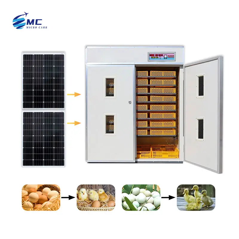 1000 puissance automatique par exemple incubateur 2000 incubateurs à couver les œufs à l'aide de l'énergie solaire avec