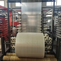 25kg 50kg 100kg Transparante Polypropyleen Zakken, Doorzichtige PP Geweven Aardappelzak met Trekkoord voor Verpakkingen van Rijst, Graan en Sojabonen