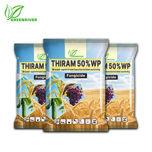 <span class=keywords><strong>Fongicide</strong></span> Thiram 50% WP à large spectre, <span class=keywords><strong>traitement</strong></span> protecteur des semences pour céréales, légumes et fruits - Product Image 4