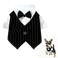 Gilet rayé et chemise blanche avec nœud papillon, design gentleman, pour mariage, séance photo, tenue pour animal de compagnie