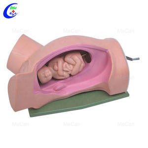 วิทยาศาสตร์การแพทย์การส่งมอบร่างกายและมารดาและทารกแรกเกิดจำลองกรณีฉุกเฉิน - Product Image 4