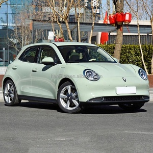 Voiture électrique pure neuve 2024 GWM ORA Good Cat EV à 4 roues à vendre - Product Image 2