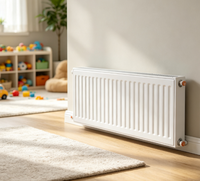 Radiateur de chauffage hydronique de haute qualité 22K, radiateur de chauffage horizontal OEM pour systèmes CVC, utilisé dans les hôpitaux et les écoles