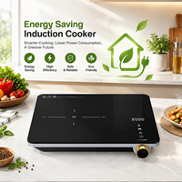 Cuisinière à induction portable 2000W, plaque chauffante électrique, 9 niveaux de puissance, commande tactile, chauffage rapide, appareil de cuisine, vente en gros