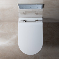 WC suspendu mural en céramique de luxe européen avec réservoir dissimulé sans réservoir pour salle de bain