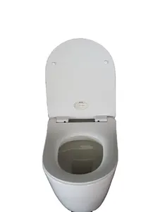 Penjualan langsung dari pabrik toilet rumah tangga Mini tanpa air toilet rumah tangga kecil toilet