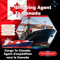 Agente de Transporte Marítimo en Canadá, Puerto de Saint John, Servicio Logístico Express, Servicio de Mensajería Express, Transporte Aéreo de Carga