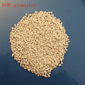 <span class=keywords><strong>Engrais</strong></span> SOP 0-0-50 granulaire pour usage agricole <span class=keywords><strong>sulfate</strong></span> <span class=keywords><strong>de</strong></span> <span class=keywords><strong>potassium</strong></span> SOP 50% min K2O <span class=keywords><strong>sulfate</strong></span> <span class=keywords><strong>engrais</strong></span> <span class=keywords><strong>de</strong></span> <span class=keywords><strong>potassium</strong></span> - Product Image 6