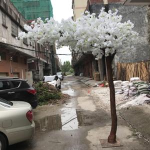 <span class=keywords><strong>2025</strong></span> nóng bán đám cưới trang trí Nhân Tạo Hoa Anh Đào cây cong cây hàng đầu bán đám cưới trang trí nhà máy - Product Image 2