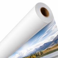 Rouleau de papier photo mat grand format éco-solvant imprimable jet d'encre pour la production multimédia professionnelle et les supports d'affichage