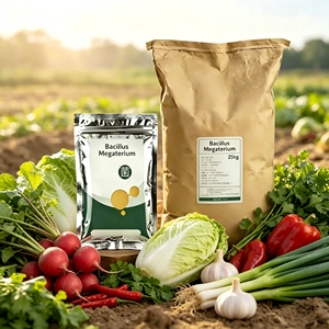 YIDA Biotech - Biofertilizante de Ácido Húmico de Bacillus Megaterium, Disolución P, Mejora la Estructura del Suelo, Mejora la Fotosíntesis, Alivia la Sequía - Product Image 2