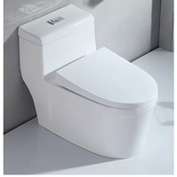 WC en céramique monobloc pour usage domestique et hôtelier, à poser au sol, avec évacuation arrière, sortie d'eau arrière, anti-odeur, grand diamètre