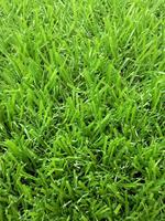 20mm langlebige Pfahl höhe Kunstrasen Teppich feuerfeste Rolle Paket für Wohn Outdoor Garten Landschaft Gras