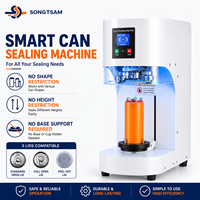 Machine de scellage de canettes en acier inoxydable pour thé aux perles, soda et bière, certifiée CE, pour canettes PET