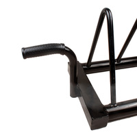 Supports de rangement mobiles robustes en métal écologique pour plaques de musculation, usage commercial et domestique, pour salle de sport