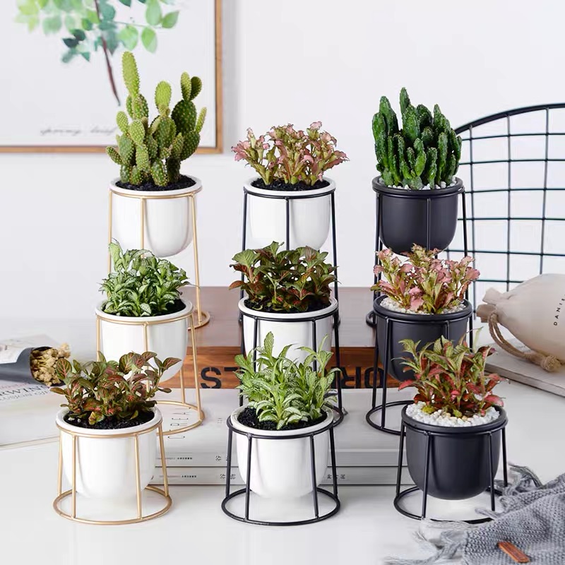 Creativity Nordic Ceramic Succulent Planter Pot Home Indoor Decorative Small Plant Flower Pots & Planters