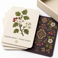 Cartes d'apprentissage botanique personnalisées écologiques et durables pour vergers, noms de plantes en latin et en polonais, papier couché mat, tiroir rigide
