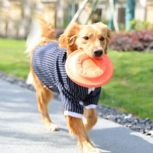 bulk frisbees for dogs
