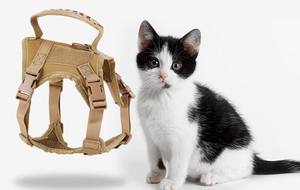 เสื้อกั๊กสุนัขแมวพร้อมที่จับสายรัดสุนัขไนล่อนหนักยุทธวิธีเล็กขายส่ง - Product Image 2