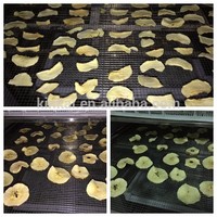 Industriële automatische droogkast voor fruit, groenten en vlees, eenvoudig te bedienen, gemberdroogmachine, voedseldroger