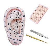 Meilleure vente de graines d'oreille de Vaccaria d'herbes chinoises naturelles, modèle de Massage d'oreille en Silicone, Kit d'acupuncture de graines d'oreille