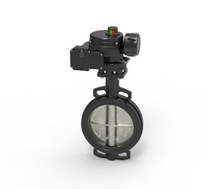 Válvula Tipo Heq con Actuador Eléctrico AC110V/AC220V, Tamaño de Puerto de 2 Pulgadas, Aplicable para Agua, 1 Año de Garantía - Product Image 1