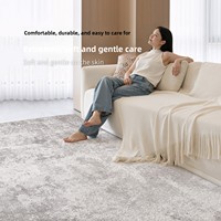 Tapis gris minimaliste italien, luxe léger, imperméable, résistant aux taches, facile à nettoyer, pour salon, chambre, canapé