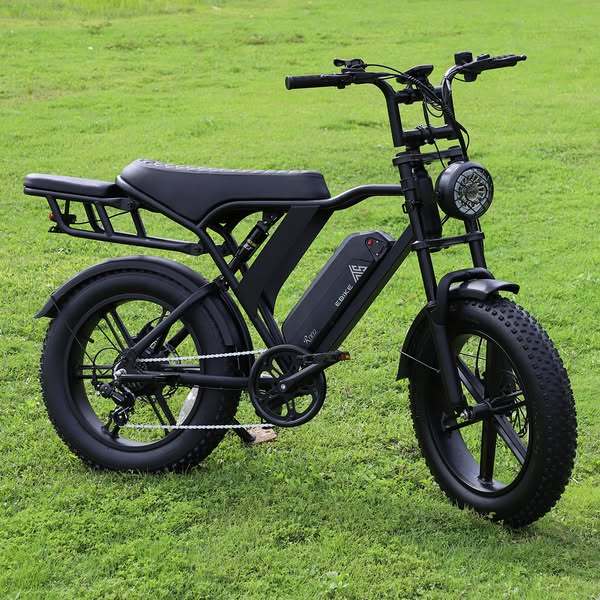 R005 Hybrid Electric Bike with 15Ah/20Ah Factory OEM/ODM Lithium Battery 48V 500W/750W/1000W Motor Fat Tire E-bike