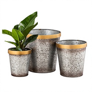 Macetas de Metal Galvanizado Vintage, Duraderas, Hechas a Mano, Ecológicas, Personalizadas, para Interiores y Exteriores, Recién Llegadas - Product Image 1