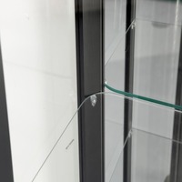 Vitrine rectangulaire moderne noire de haute qualité en verre trempé avec éclairage LED, portes arrière en verre miroir et étagères pour présentation