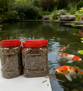 Protein Cao Khô Mealworms Tự Nhiên Động Vật Thực Phẩm Và Cá Thực Phẩm Hạt Miễn Phí Đóng Gói Trong Một Túi - Product Image 3