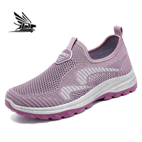 Chaussures de sport décontractées confortables de style nouveau pour femmes, chaussures de marche respirantes à la mode, légères et respirantes pour l'automne et le printemps