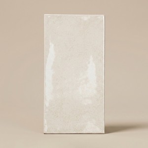 Piastrella Camden Light 12x24 Pollici Finitura Opaca per Pareti e Pavimenti - Product Image 1