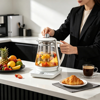 Bouilloire Électrique en Verre Borosilicate Naturel Sain, Multifonction, Double Paroi, pour une Cuisine Saine