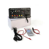 Yüksek Güçlü Dijital Amplifikatör Kartı Alıcı Subwoofer Çıkışı Ev Ses Sistemi için Çift Mikrofonlu Karaoke Amfisi