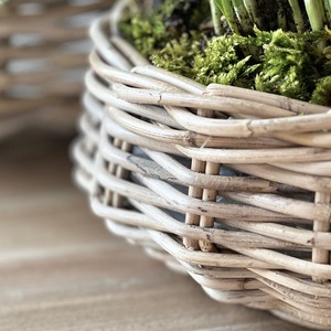Vente en gros de pots à fleurs modernes en rotin tissé écologiques, porte-plantes, tailles personnalisables, couleur naturelle, forme ronde - Product Image 2