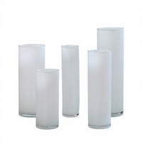 Vase en verre soufflé Bixuan, moderne et minimaliste, blanc, cylindrique, à base épaisse, pour hall d'hôtel, célébrations de mariage, hydroponie