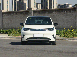 BYD Dolphin Modello 2025 Edizione Fashion 420km, Auto Elettrica Compatta con Sedili Flessibili e Confortevoli, Nuova e Usata - Product Image 2