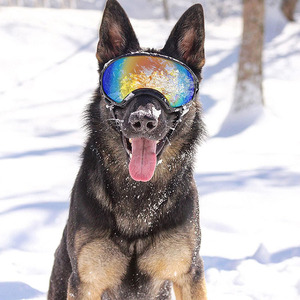 Sangle réglable Protection UV Protection coupe-vent Protection des yeux Grand <span class=keywords><strong>chien</strong></span> Lunettes de soleil <span class=keywords><strong>Chien</strong></span> Lunettes de soleil pour chiens de taille moyenne - Product Image 5