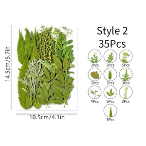 ZS010 35 pièces de vraies feuilles séchées vertes de fougère de forêt sèche pour Nail Art résine savon bougie bijoux décoration - Product Image 6