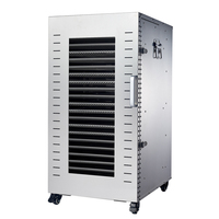 22 Trays Mango Dehydrato Machine Fruit Uitdroging Vlees Droger