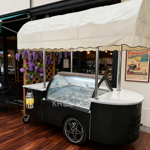 OEM Commercial Mini Frozen Display Electric Fiberglass Food Trailer Gelato Beach Freezer Hand Cart <b>Push</b> Carts for Ice Cream - Product Image 6