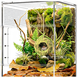 Nascondiglio per Ragni Saltatori, Casetta Artigianale in Muschio Naturale per Rettili, Decorazione per Terrario di Ragni - Product Image 2