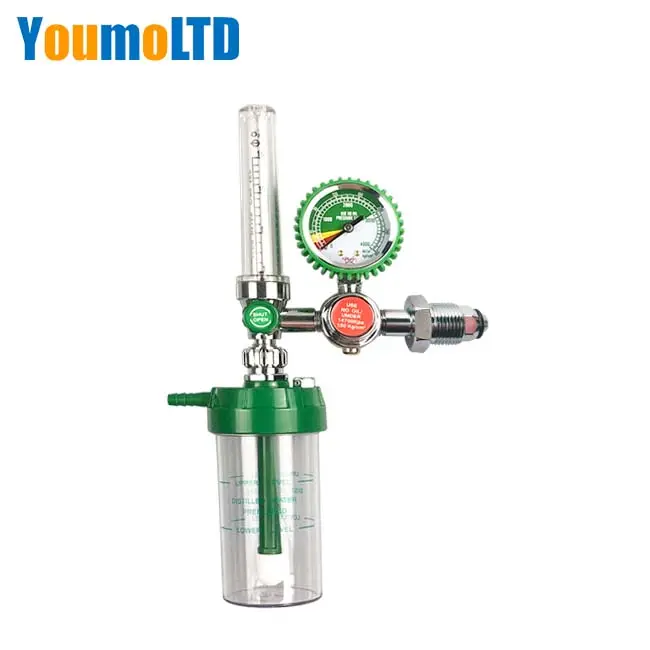 Bull Nose Wholesale BS Type Co2 Gas Pressure Medical Oxygen Regulator Bottle Flowmeter