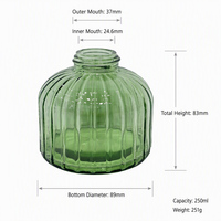 Diffuseur d'arômes vert de luxe 250 ml, bouteille en verre ronde, ensemble de parfum d'intérieur pour huiles essentielles, diffuseur à bâtonnets