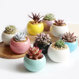 Colorful Nordic Style Flower Pot Candy Color Succulent Planter Pot Flower Pot Ceramic Round