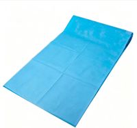 Alas Kasur Medis Sekali Pakai Tahan Air Tedia Medical, Berlapis Kain Non Woven untuk Pemeriksaan di Rumah Sakit