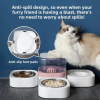 Bol automatique élégant pour animaux de compagnie, sans électricité, pour chat et chien, distributeur d'eau, fontaine à eau en PP