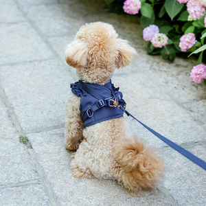 <span class=keywords><strong>Harnais</strong></span> <span class=keywords><strong>pour</strong></span> animaux de compagnie de style coréen, spécial <span class=keywords><strong>pour</strong></span> petits chiens, Teddy, Bichon Frisé, <span class=keywords><strong>Yorkshire</strong></span> Terrier, laisse <span class=keywords><strong>pour</strong></span> chien en maille respirante <span class=keywords><strong>pour</strong></span> l'extérieur - Product Image 2